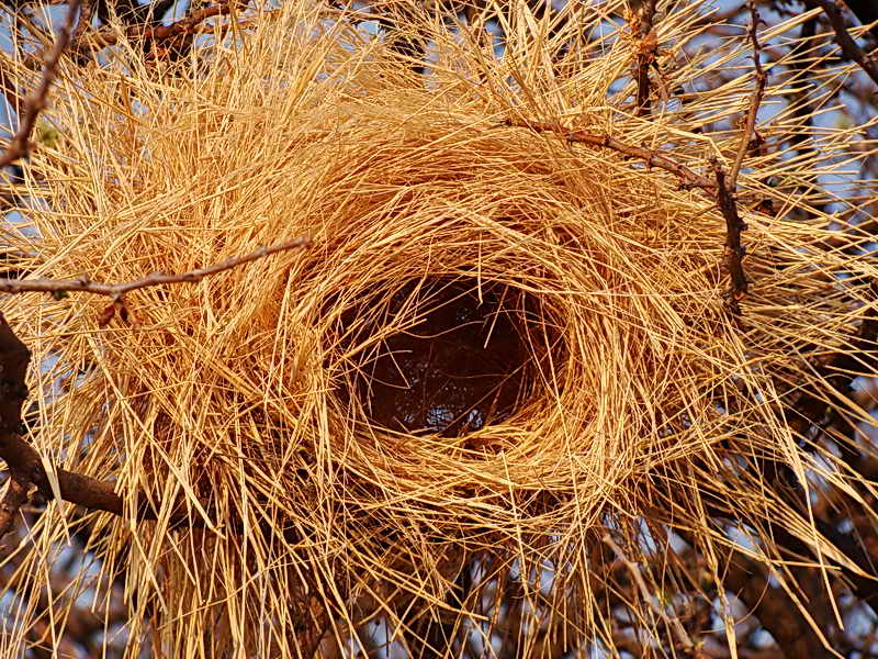 Namibi&euml;, 18-9-2010