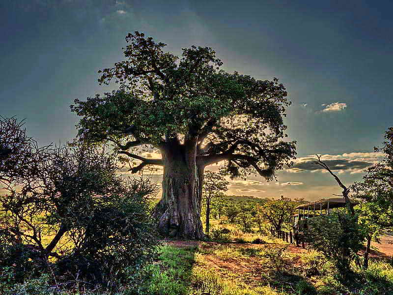 Mapungubwe National Park, 2-3-2018