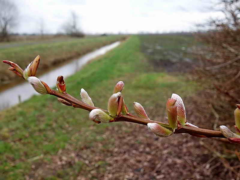 Tripscompagnie, 5-2-2022