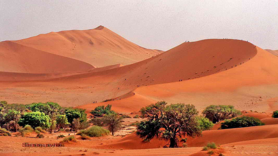 Sossusvlei, 18-9-2010