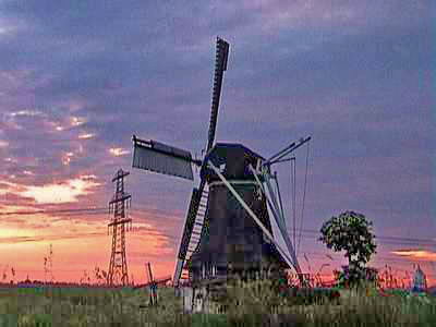 nabij Oostum, 8 juni 2002, zie de woorden onder de foto nabij Oostum, 8 juni 2002, zie de woorden onder de foto