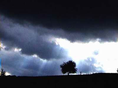 Licht, Limburg, oktober 2001, zie ook de woorden onder de foto. Licht, Limburg, oktober 2001, zie ook de woorden onder de foto.