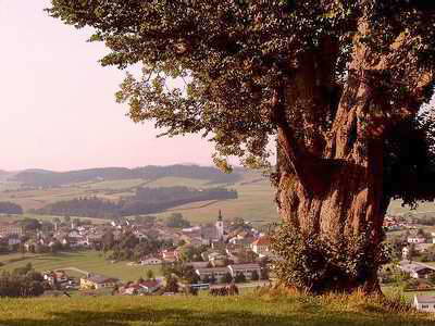 Lembach, Oostenrijk, augustus 2003,
zie ook de woorden onder de foto. Lembach, Oostenrijk, augustus 2003,
zie ook de woorden onder de foto.