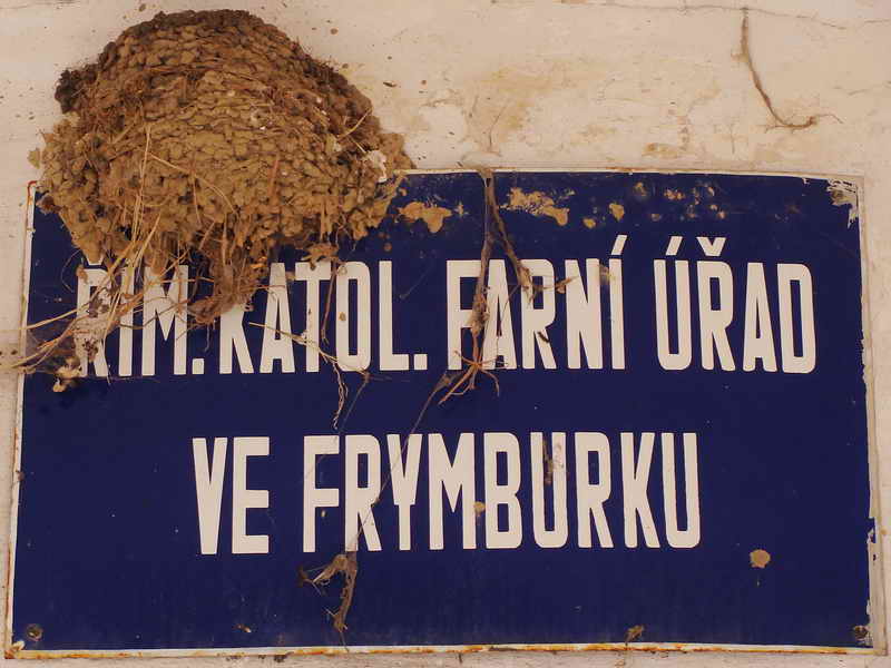 Frymburk, 24-6-2015