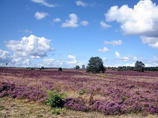 Hulshorst, 3 september 2007
