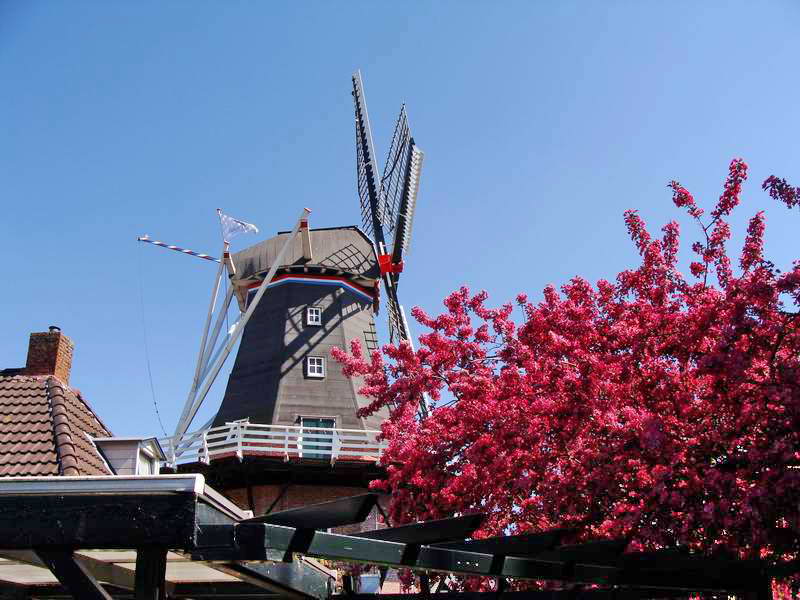 Onderdendam, korenmolen 'Hunsingo', 25-4-2011