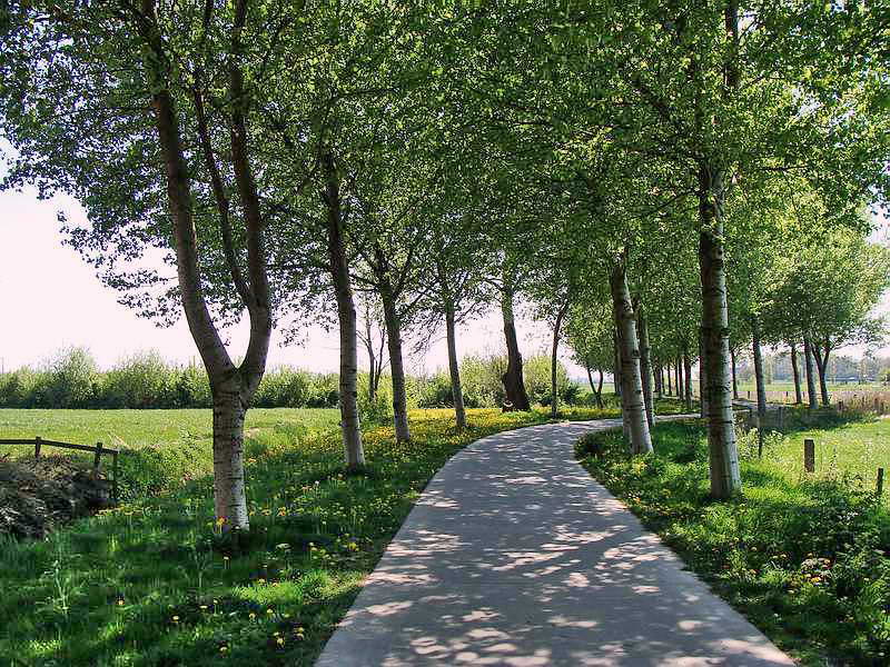 Onderdendam (omgeving, landweggetje), 25-4-2011