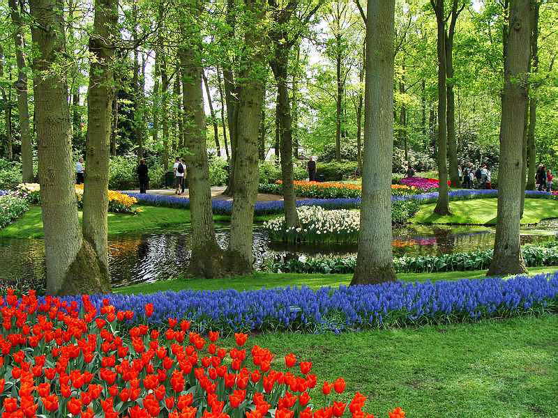 Lisse, de Keukenhof, 26-4-2011 Lisse, de Keukenhof, 26-4-2011