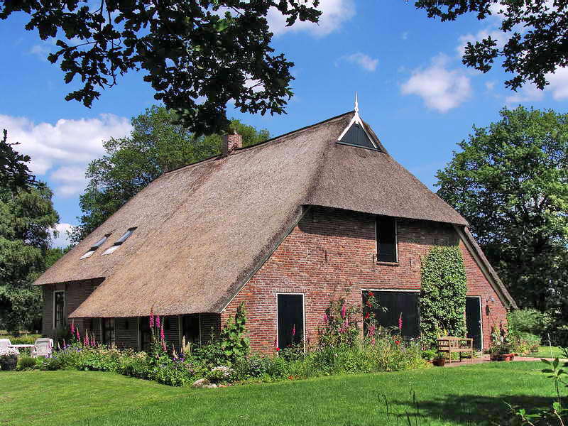 Oud-Avereest, boerderij achteraf, 31-5-2014