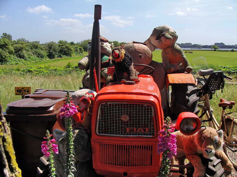 Schellingwoude, Schellingwouderdijk, 9-6-2016