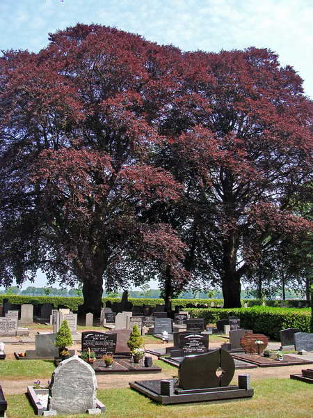 Willemsoord, begraafplaats 'Vredehof', 27-5-2016 Willemsoord, begraafplaats 'Vredehof', 27-5-2016