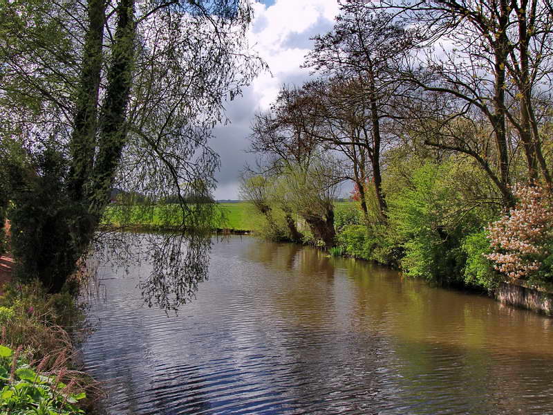 Onderdendam (omgeving), bij hoogholtje naar B & B, 17-4-2017
