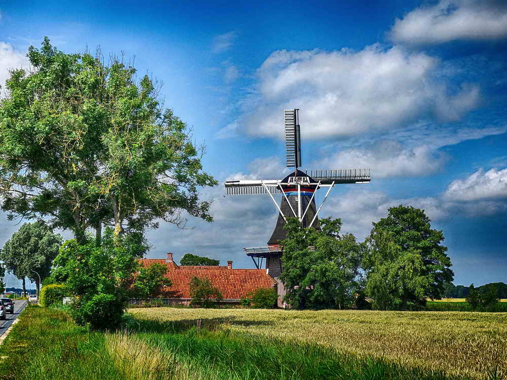 Den Andel, molen 'De Jonge Hendrik', 6-7-2017