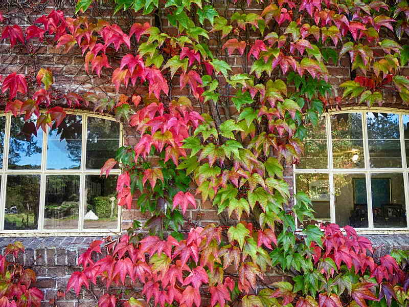 Eesveen, landgoed de Eese, 24-9-2018 Eesveen, landgoed de Eese, 24-9-2018