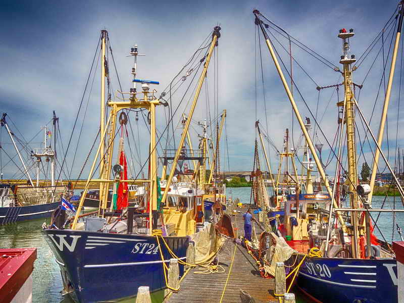 Stavoren, visserijhaven, 4-7-2019