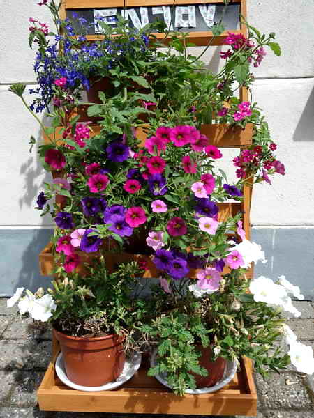 Stavoren, Enjoy, 4-7-2019