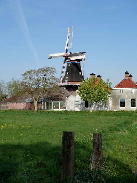 Den Andel, molen 'De Jonge Hendrik', 23-4-2020