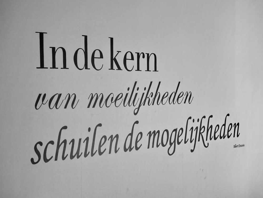 Einstein: In de kern van moeilijkheden schuilen de mogelijkheden.