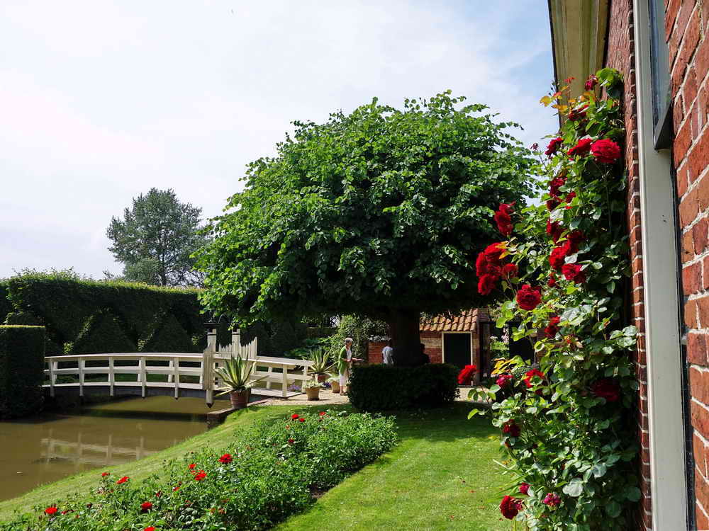 Zuidhorn, landgoed P&aacute;bema, 27-6-2021