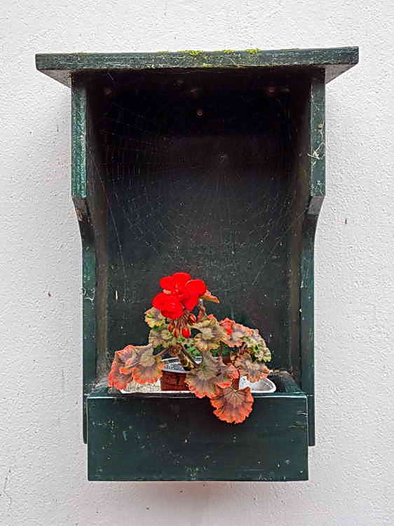 Vollenhove, 29-8-2021 Vollenhove, 29-8-2021