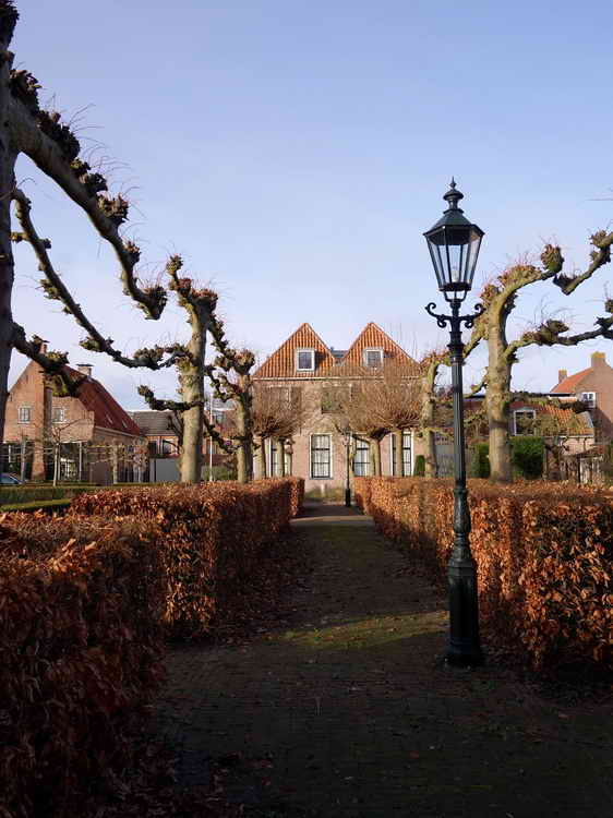 Vollenhove, Marxveldtuinen, 28-1-2022 Vollenhove, Marxveldtuinen, 28-1-2022