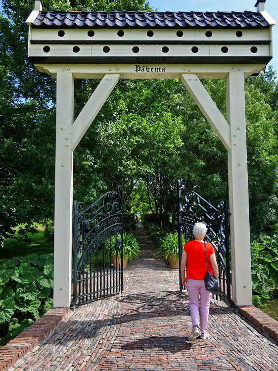 Zuidhorn, landgoed Pábema, 26-6-2022 Zuidhorn, landgoed Pábema, 26-6-2022