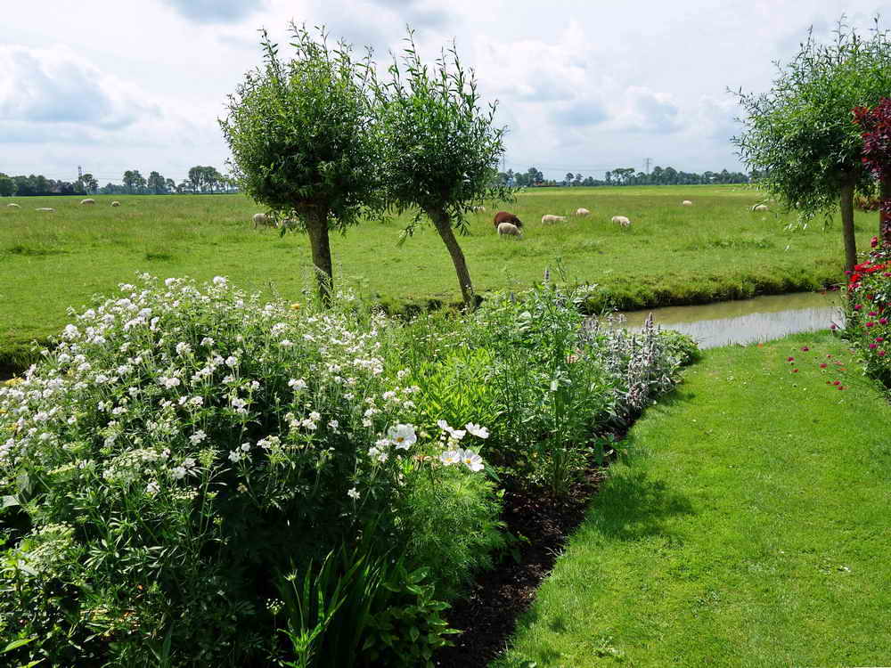 Zuidhorn, landgoed Pábema, 26-6-2022 Zuidhorn, landgoed Pábema, 26-6-2022