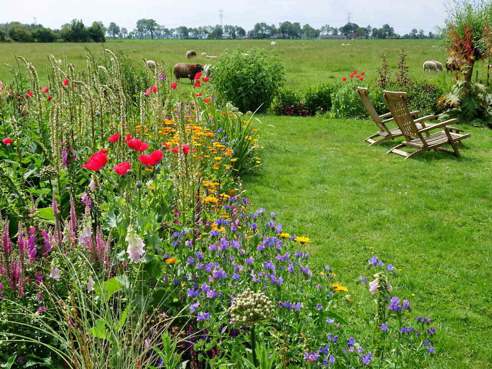 Zuidhorn, landgoed Pábema, 26-6-2022 Zuidhorn, landgoed Pábema, 26-6-2022