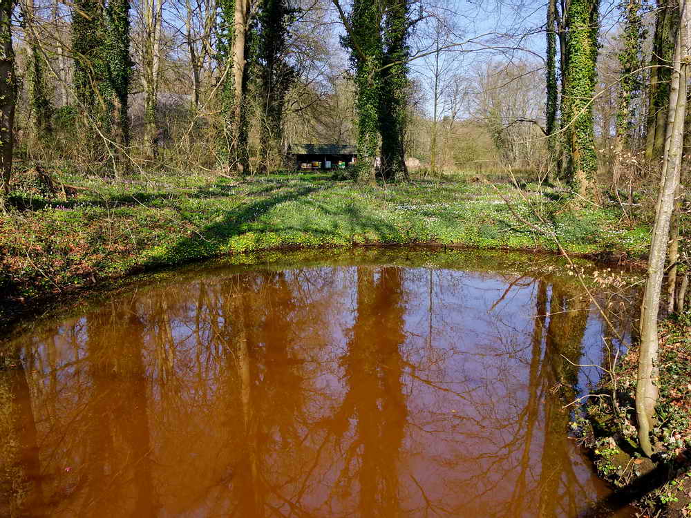 Dickninge, 22-3-2026