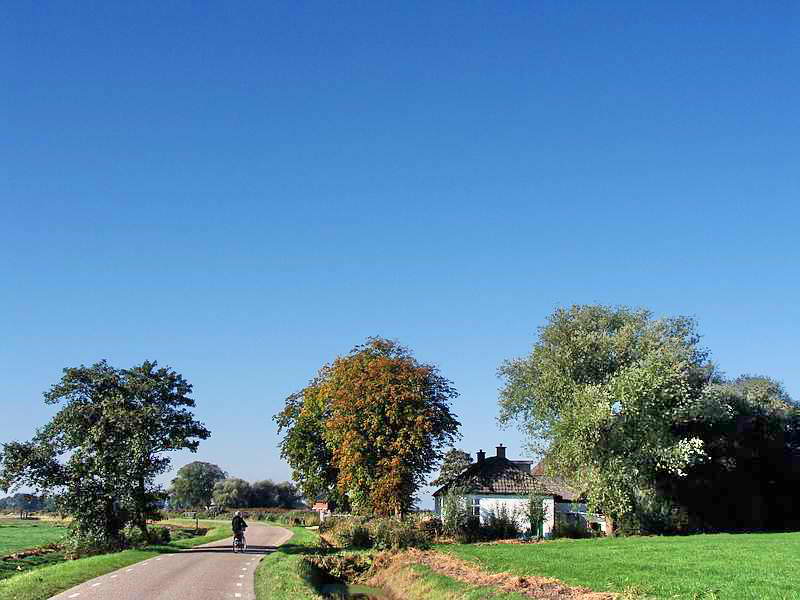 Birdaard, 27-9-2013