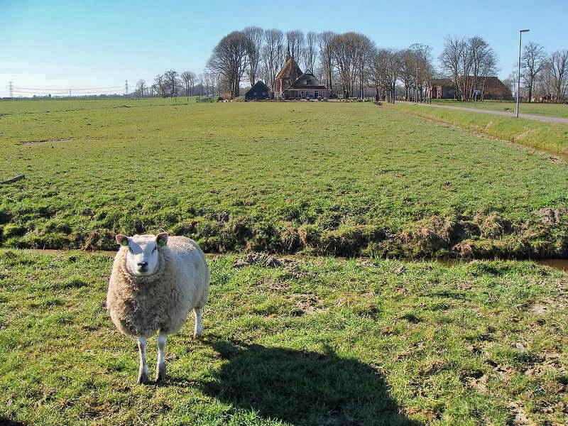 Leegkerk, kerk op achtergrond dateert uit 15de eeuw, echter gebouwd op fundamenten uit de 13de eeuw, 12-3-2014