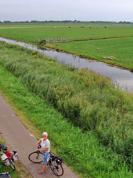 Ossenzijl, uitkijkpunt aan rand Weerribben, 12-8-2015