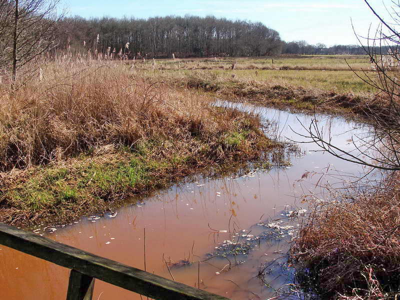 Oud-Avereest, aan de Reest, 22-3-2015