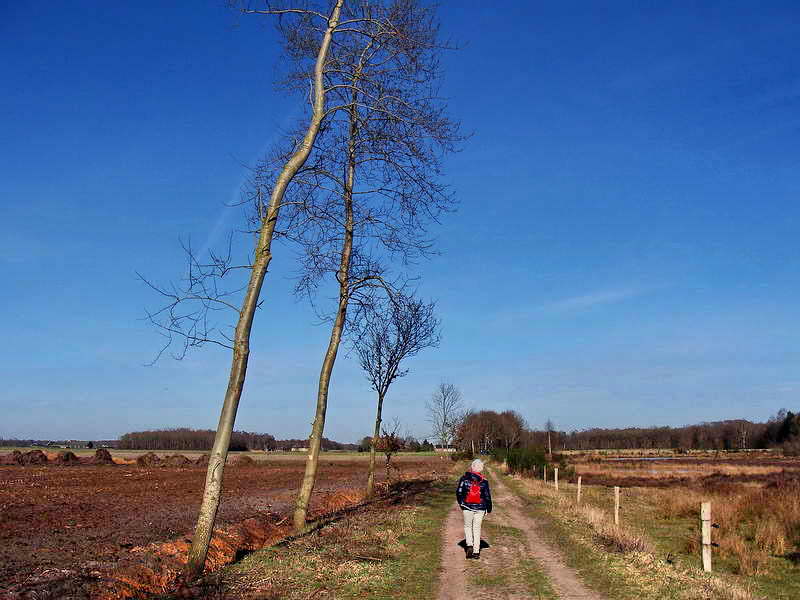 Oud-Avereest, 22-3-2015