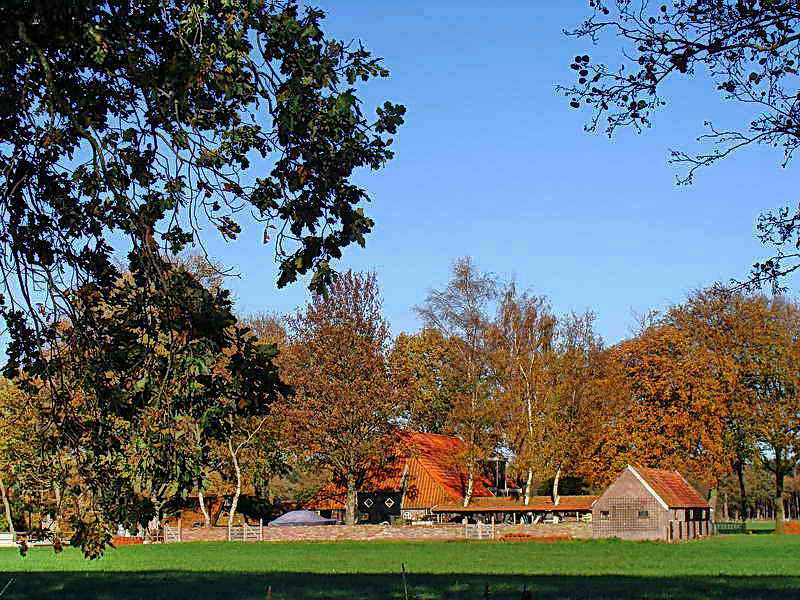 Wilhelminaoord, 2-11-201