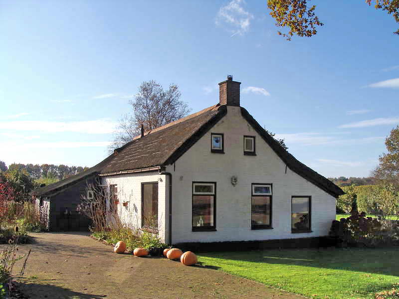 Wilhelminaoord, kolonistenwoning, 2-11-2014