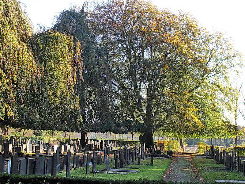 Wilhelminaoord, begraafplaats Maatschappij van Weldadigheid, 2-11-2014