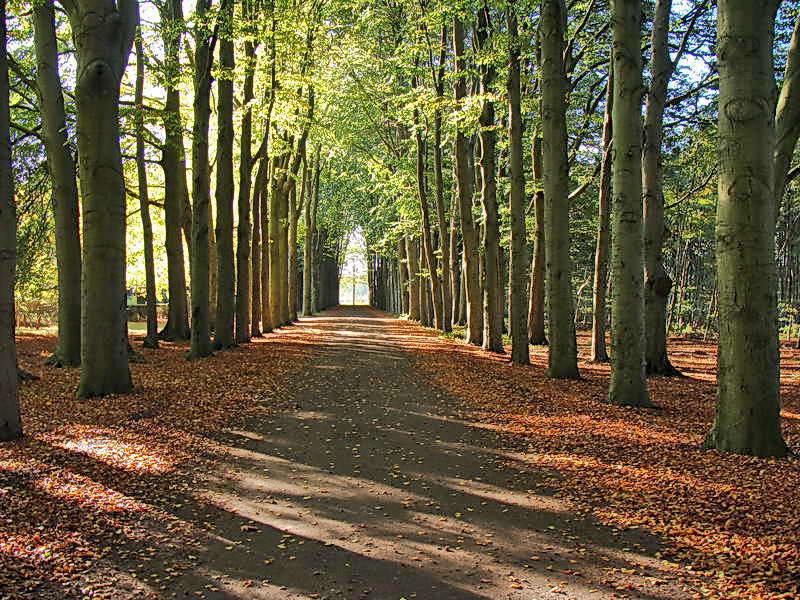 Wilhelminaoord, 2-11-201