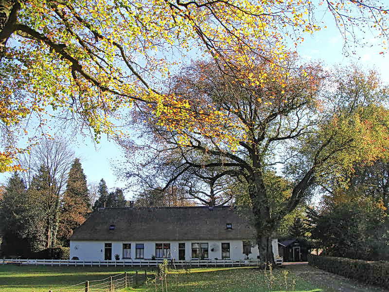 Wilhelminaoord school Maatschappij van Weldadigheid, 2-11-2014