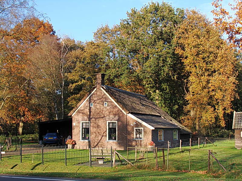 Wilhelminaoord, kolonistenwoning, 2-11-2014
