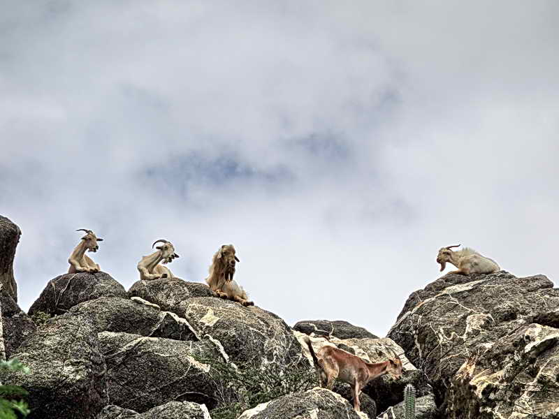 Hooiberg Aruba, 11-12-2017