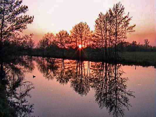 Hoogeveense Vaart nabij Meppel Hoogeveense Vaart nabij Meppel